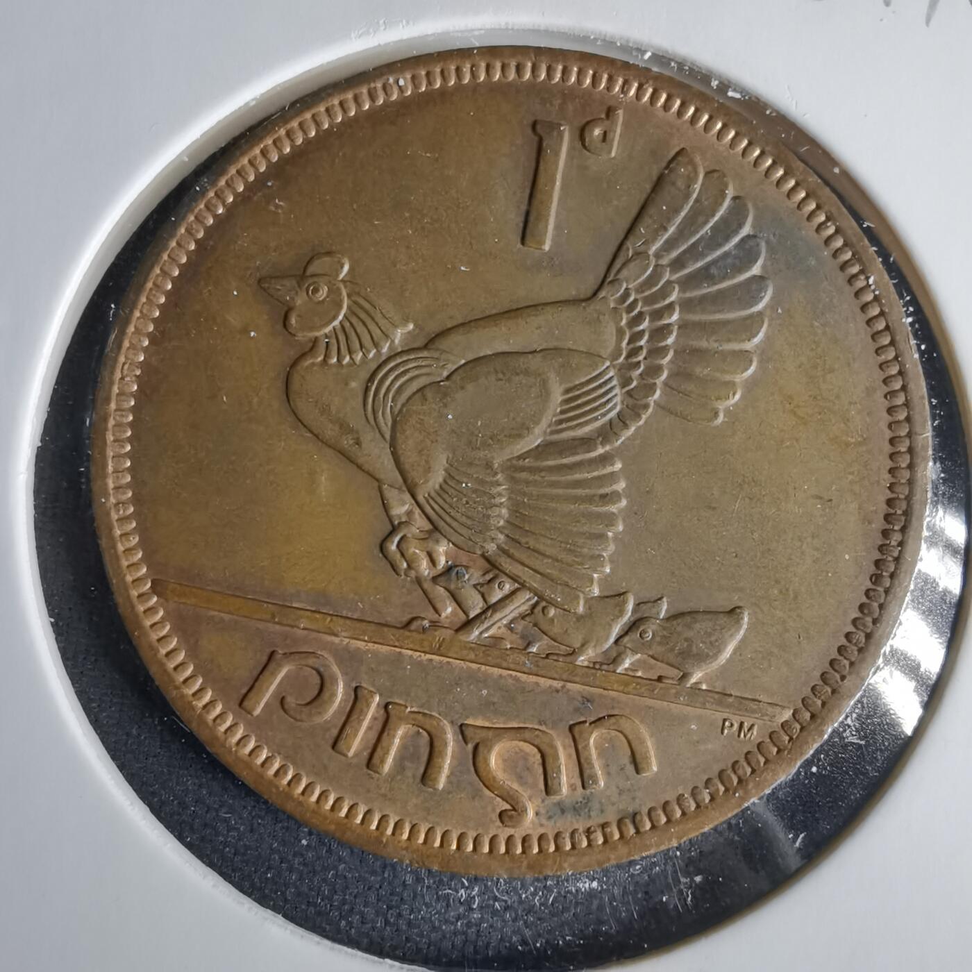 沼泽如烟--第1001场