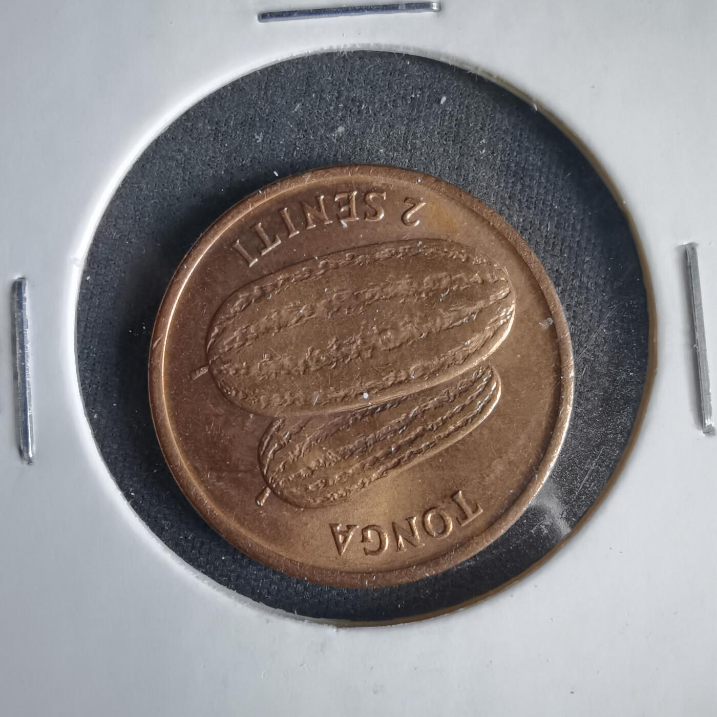 沼泽如烟--第1001场