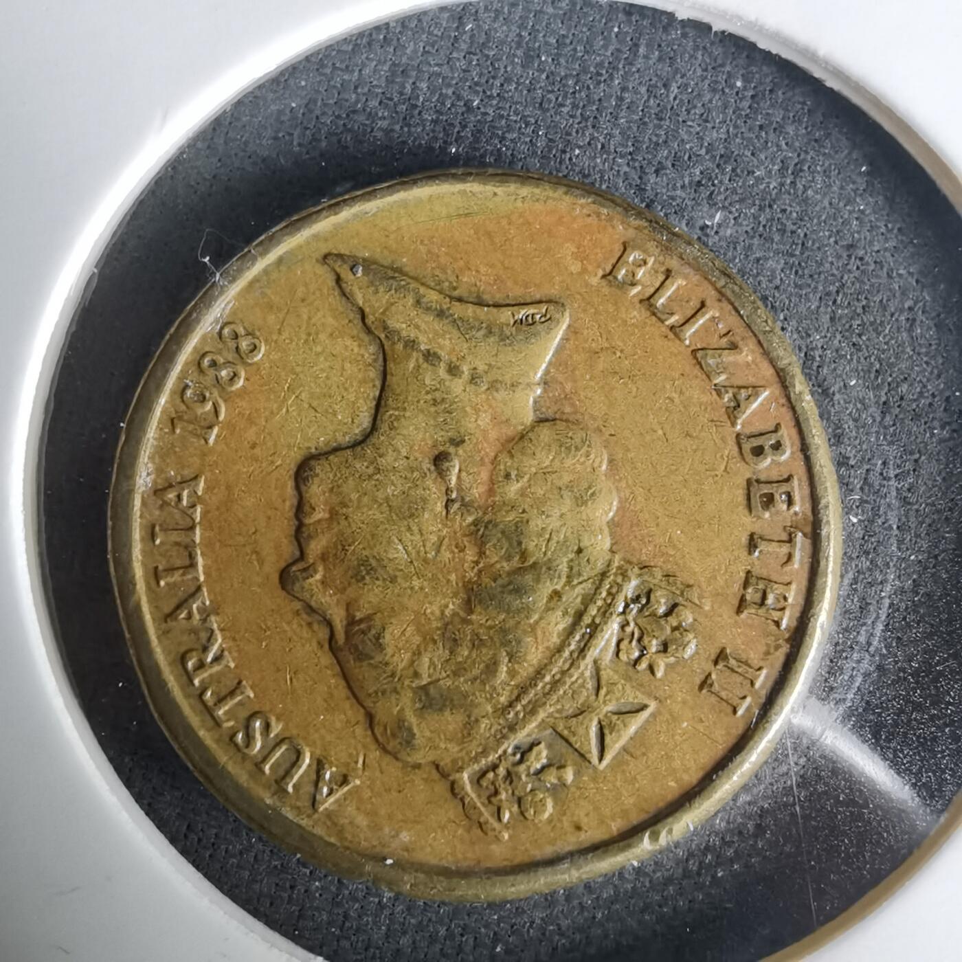 沼泽如烟--第1001场