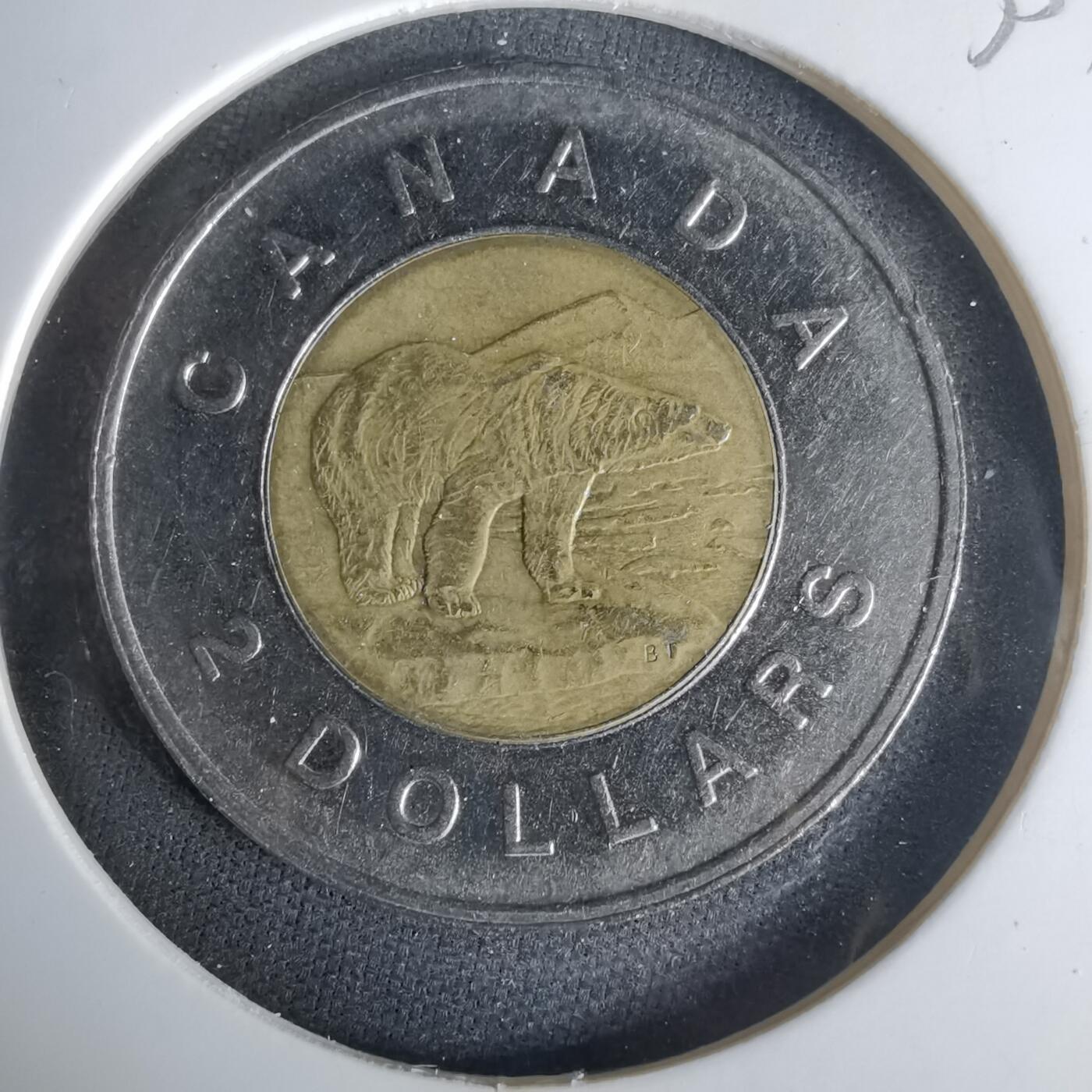 沼泽如烟--第1001场