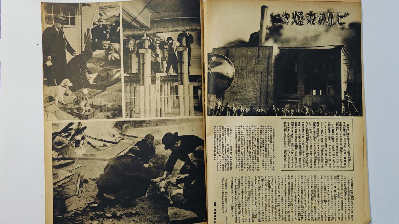 东亚勋章徽章主题拍卖8（120件） 日本内阁情报编辑部发行 写真周报（ 淮南铁路警备防止铁道游击队 汪精卫在青岛种下和平树 欧洲战场汇报等）