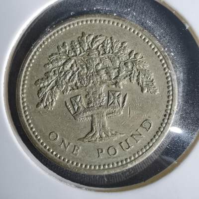 沼泽如烟--第1001场 - 英国1992年一磅