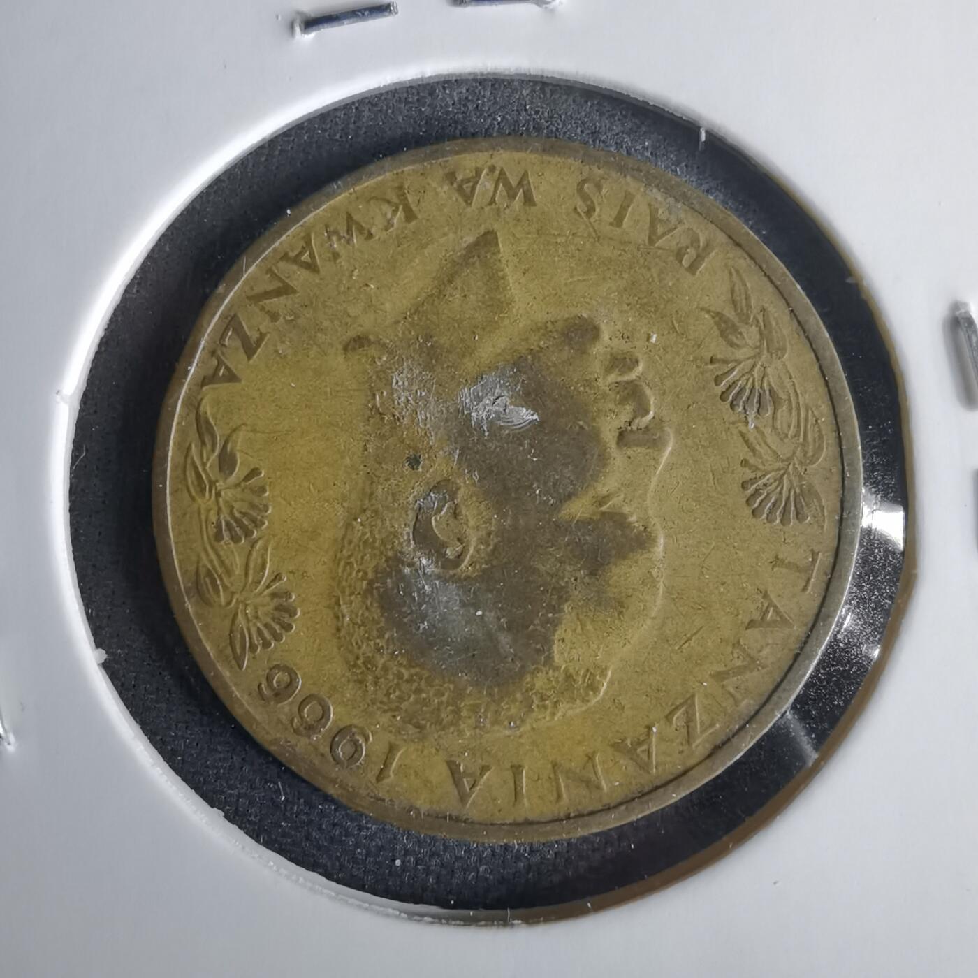 沼泽如烟--第1001场