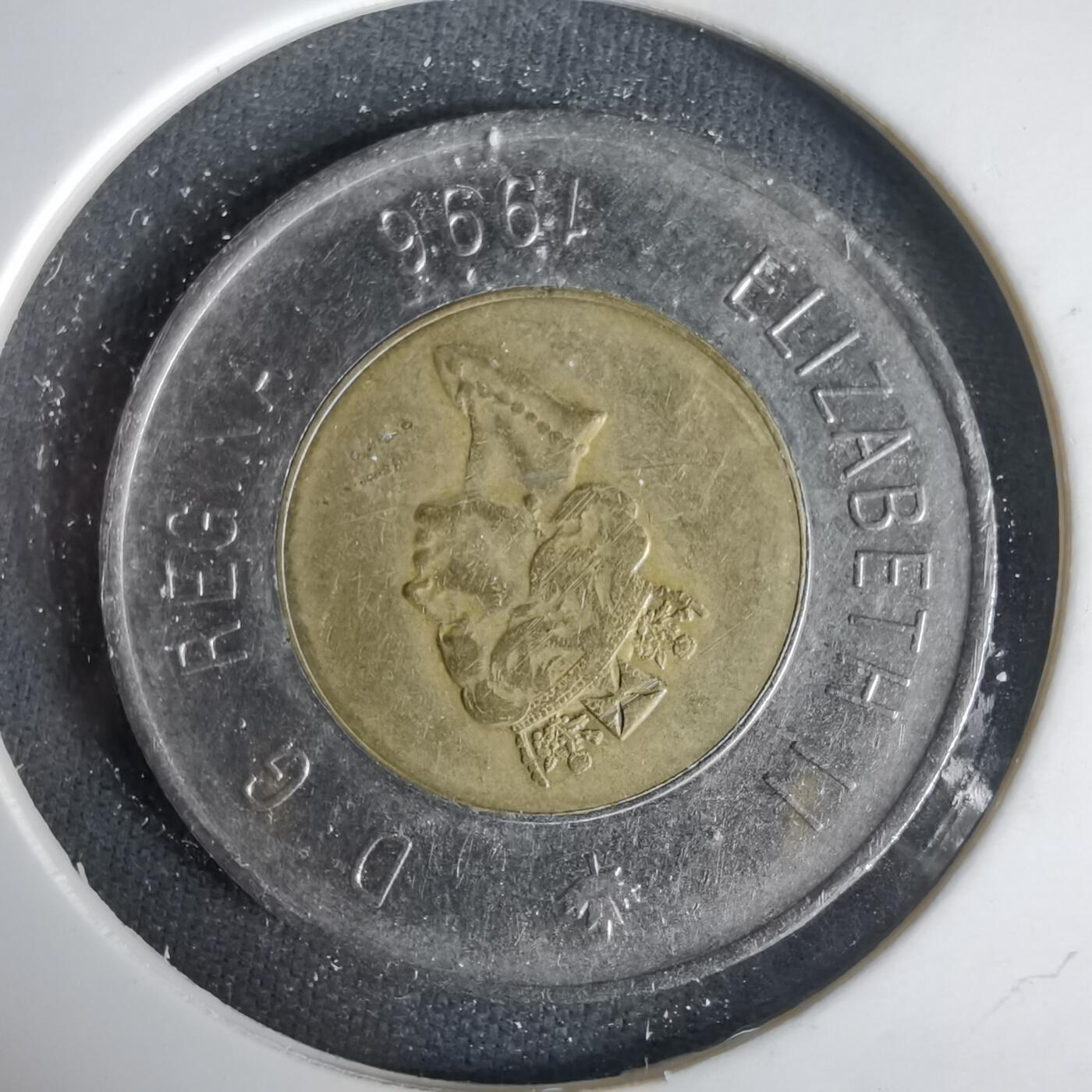 沼泽如烟--第1001场