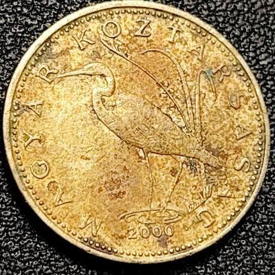 泉币菌-第193场- 新年快乐 新年第一场 本场拍品多 请提前出价 - 。