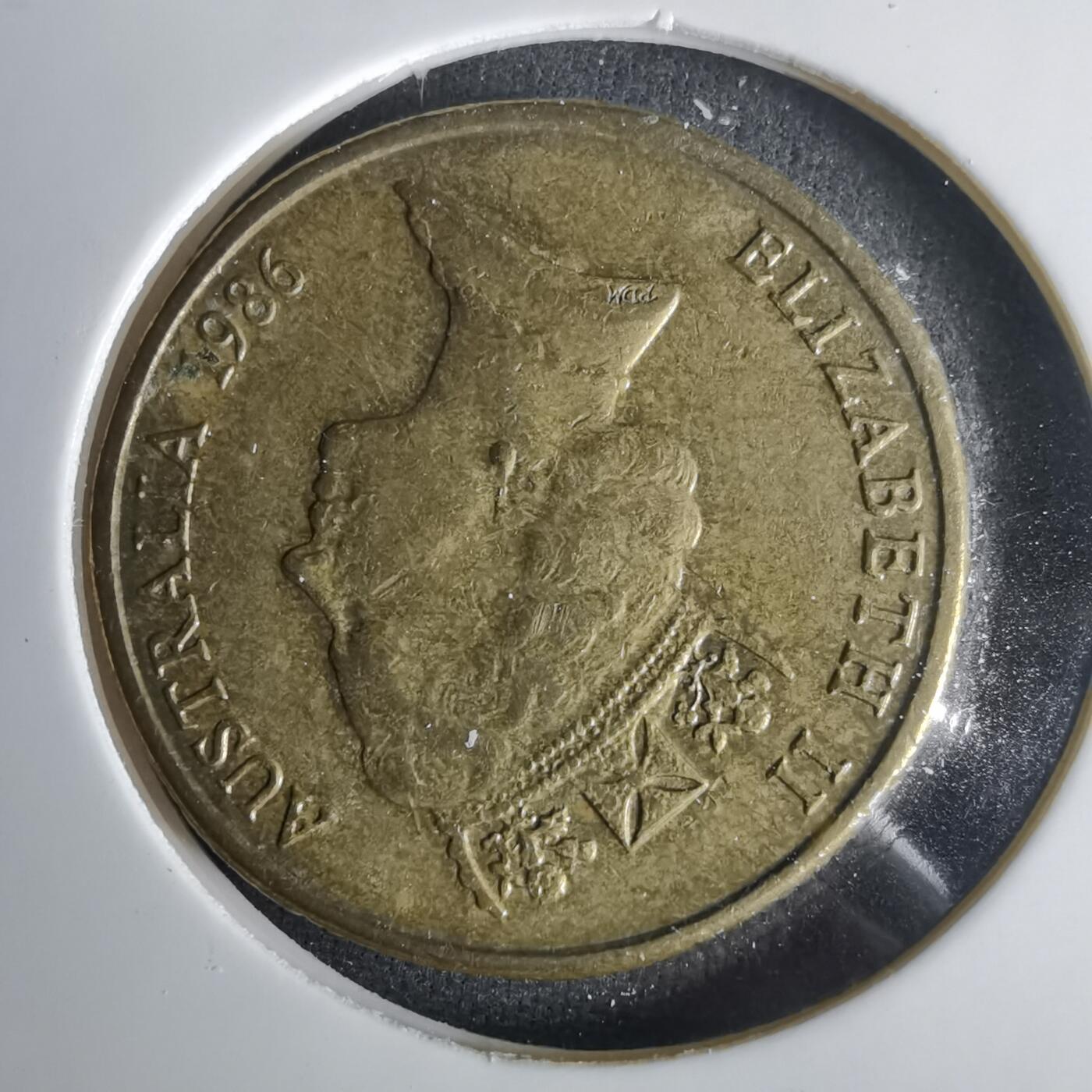 沼泽如烟--第1001场