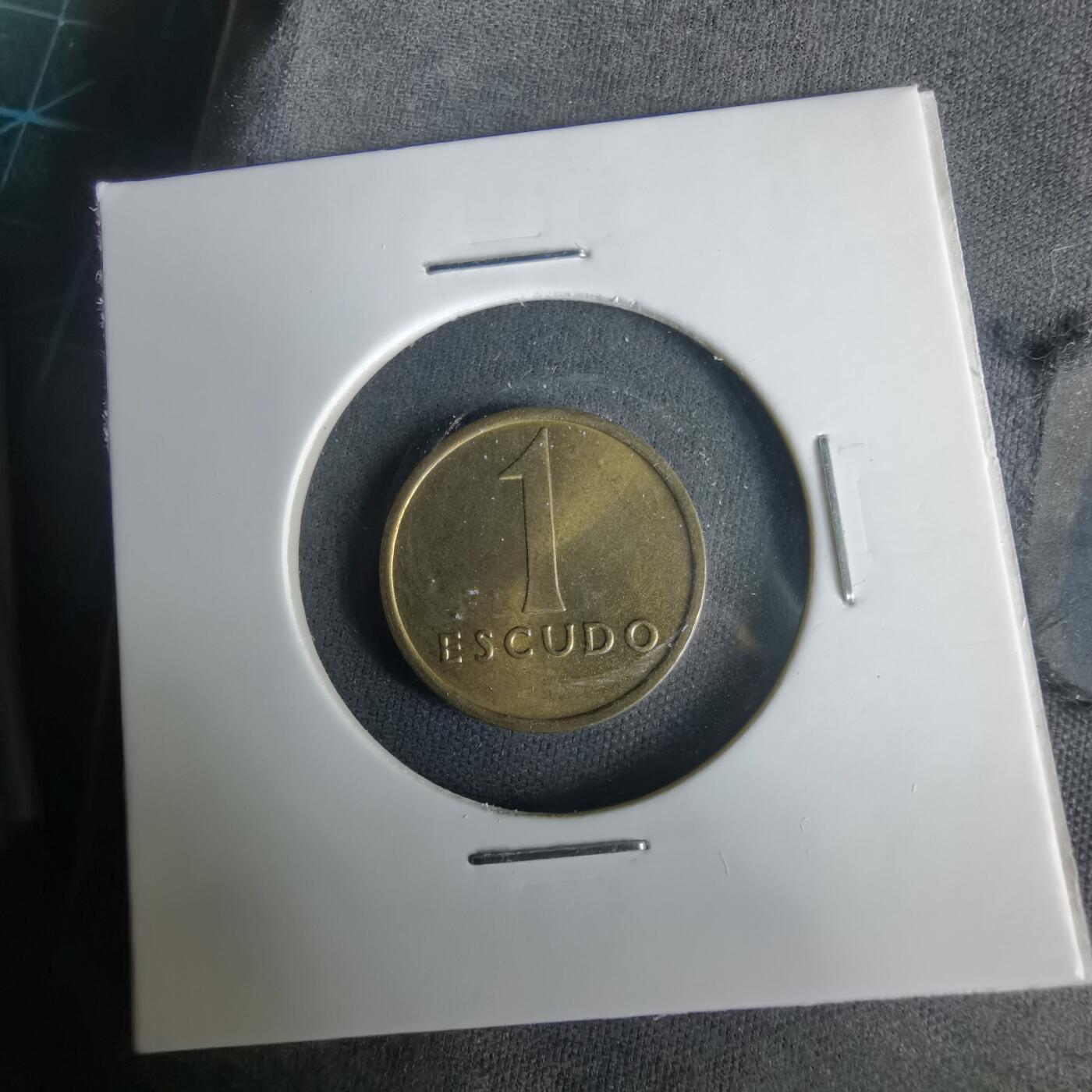 沼泽如烟--第1001场