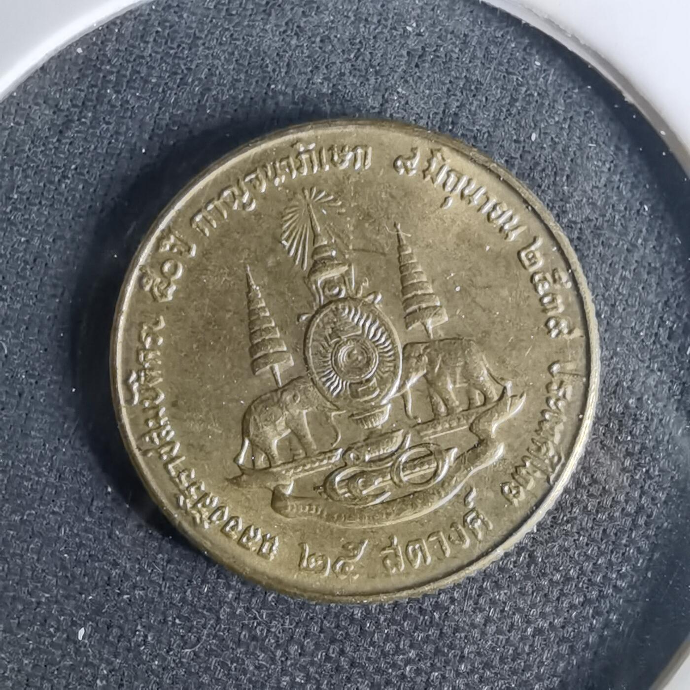 沼泽如烟--第1001场 泰国