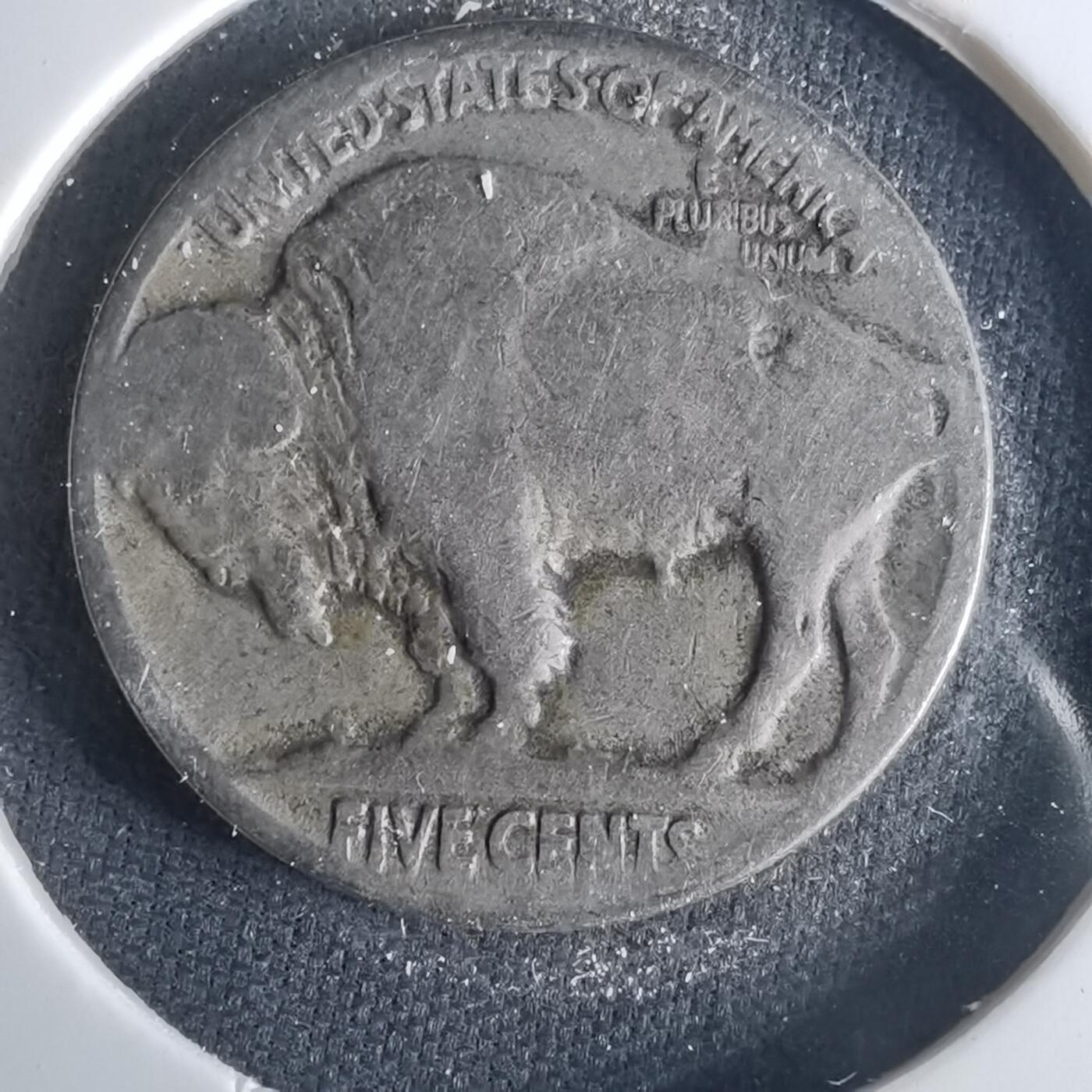 沼泽如烟--第1001场 美国野牛五分