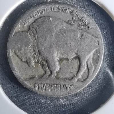 沼泽如烟--第1001场 - 美国野牛五分