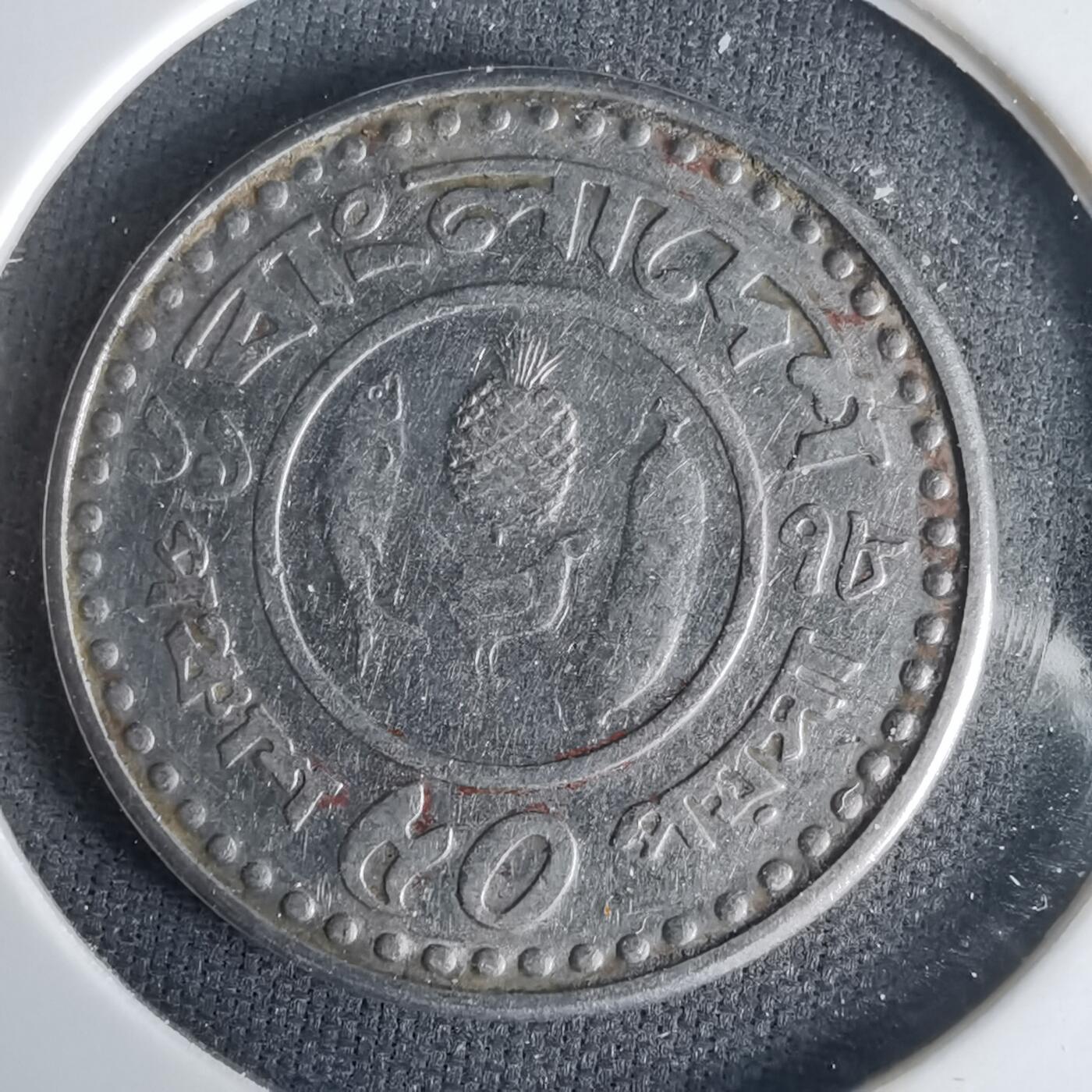 沼泽如烟--第1001场 孟加拉