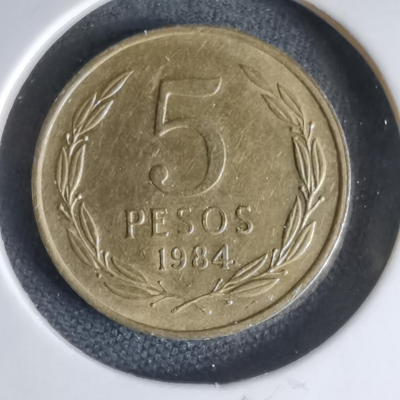 沼泽如烟--第1000场 智利1984年5比索