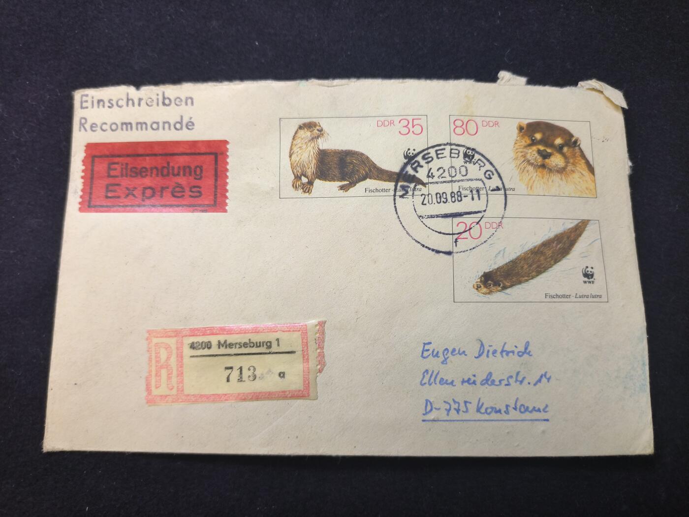 云宸嘉赏-勋臻佳藏新年快速场次（快拍 低佣 一元一手）（新年期间快递正常发）