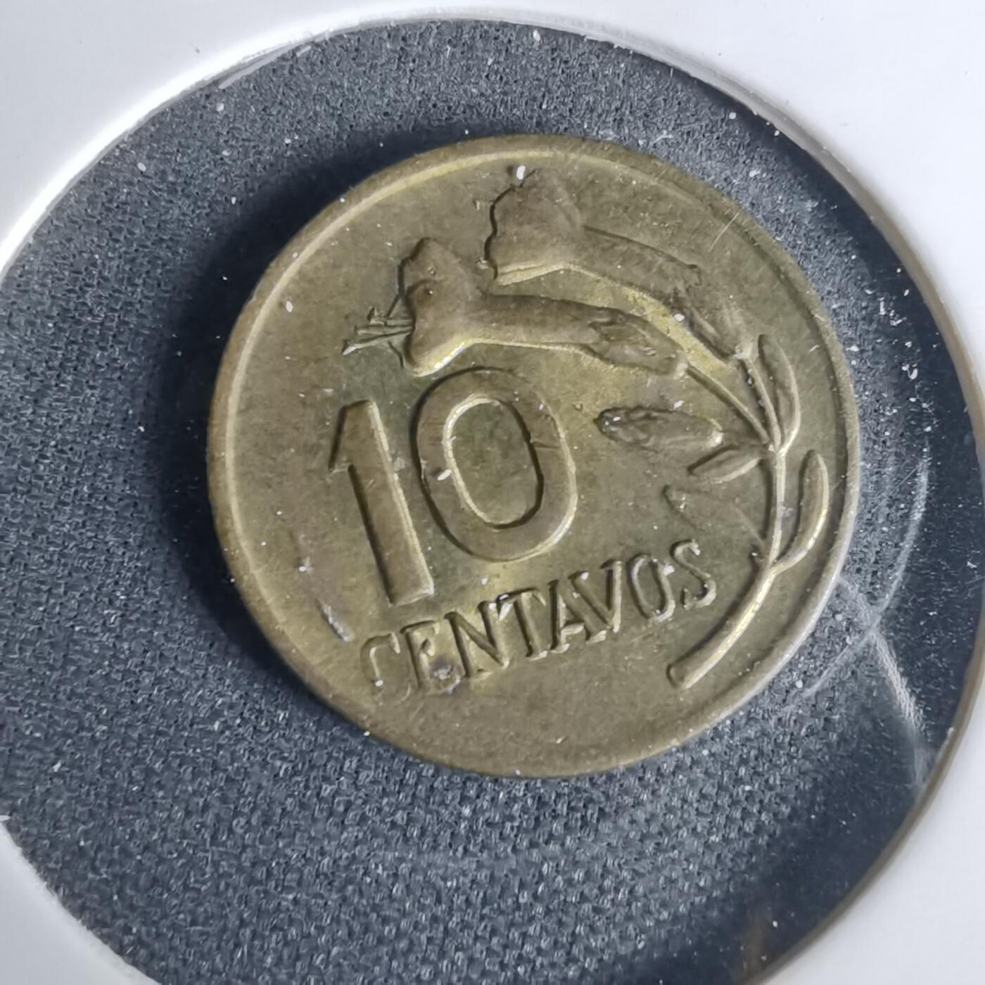 沼泽如烟--第1001场