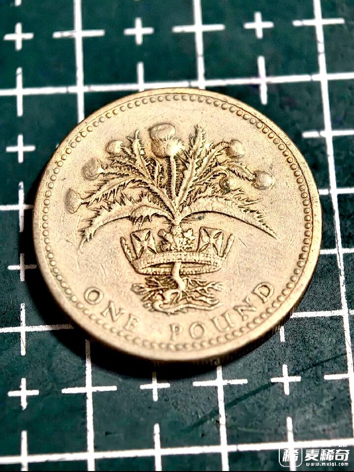 英国1984年1英磅女皇头像/威尔士韮葱图案早期靓品硬币