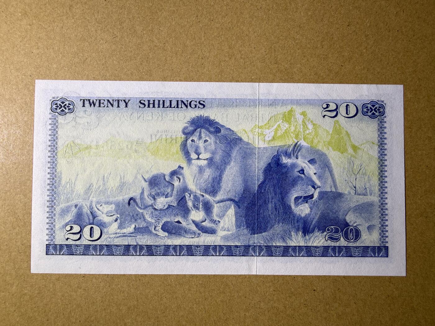 《艾美收藏》第232期-2.22周日外币靓号精品场(春节首拍)