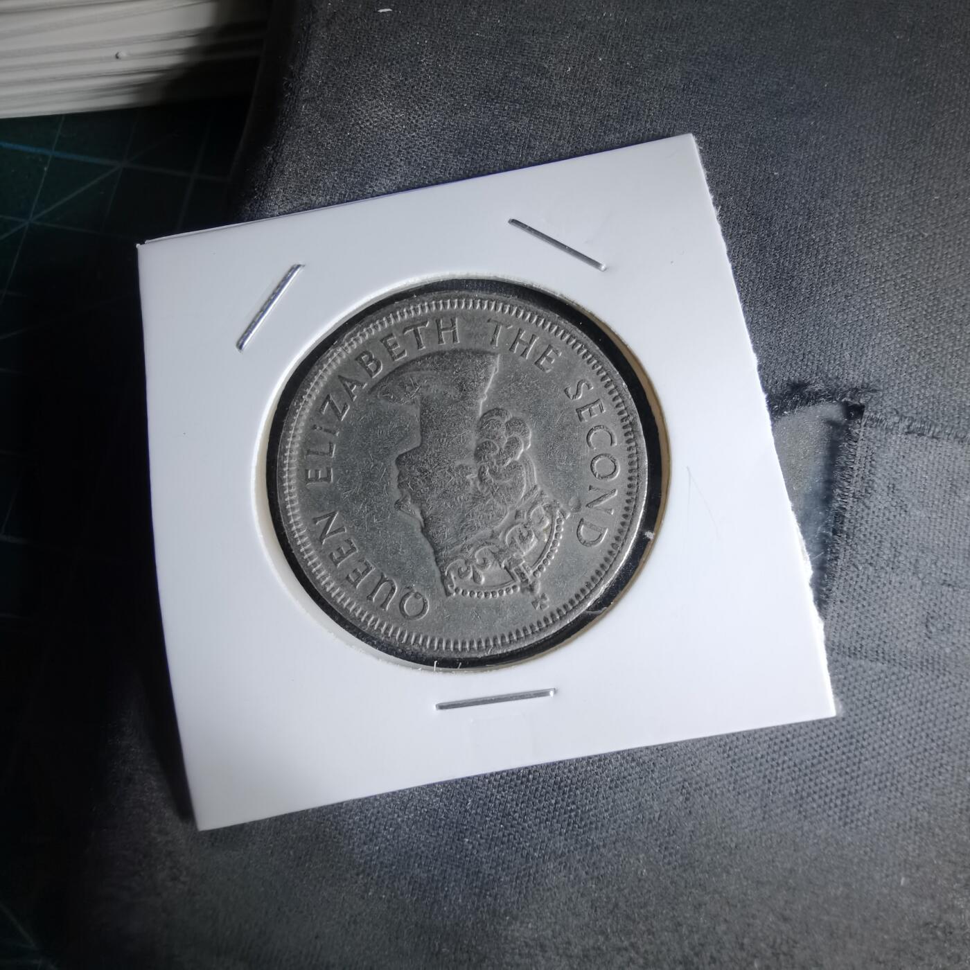 沼泽如烟--第1000场