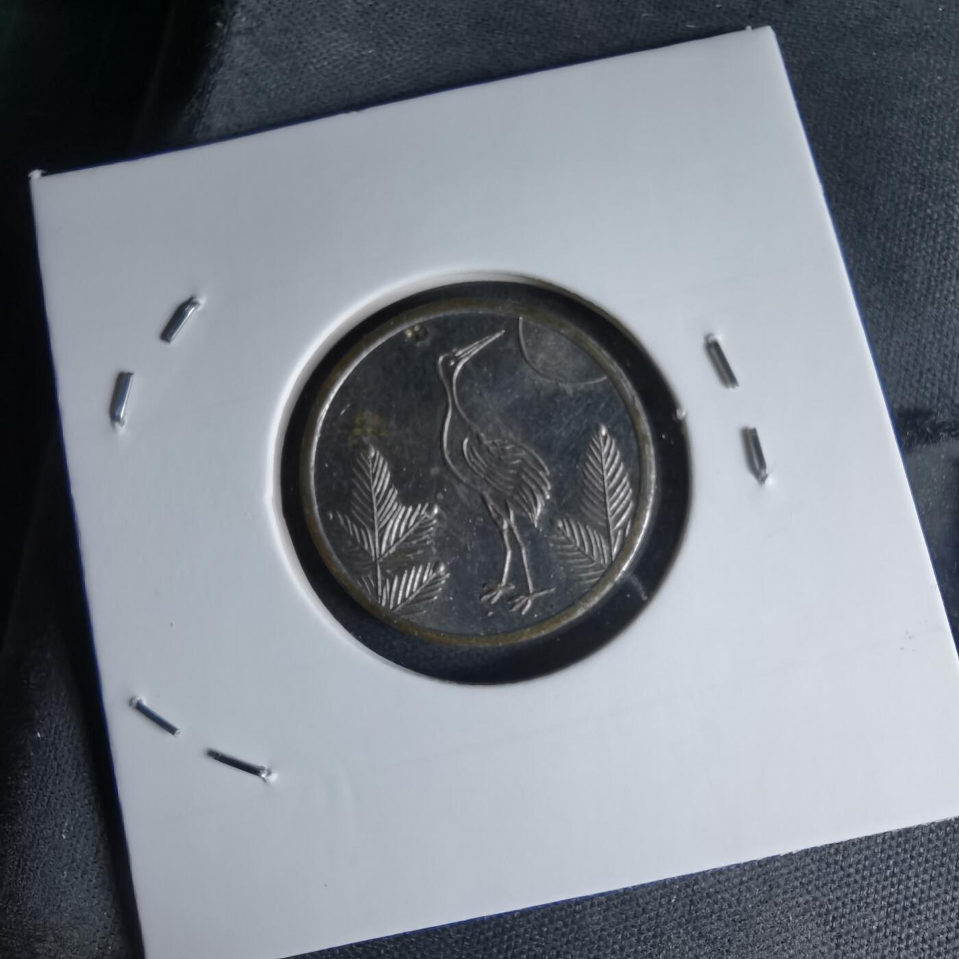 沼泽如烟--第1000场 猫头鹰 丹顶鹤