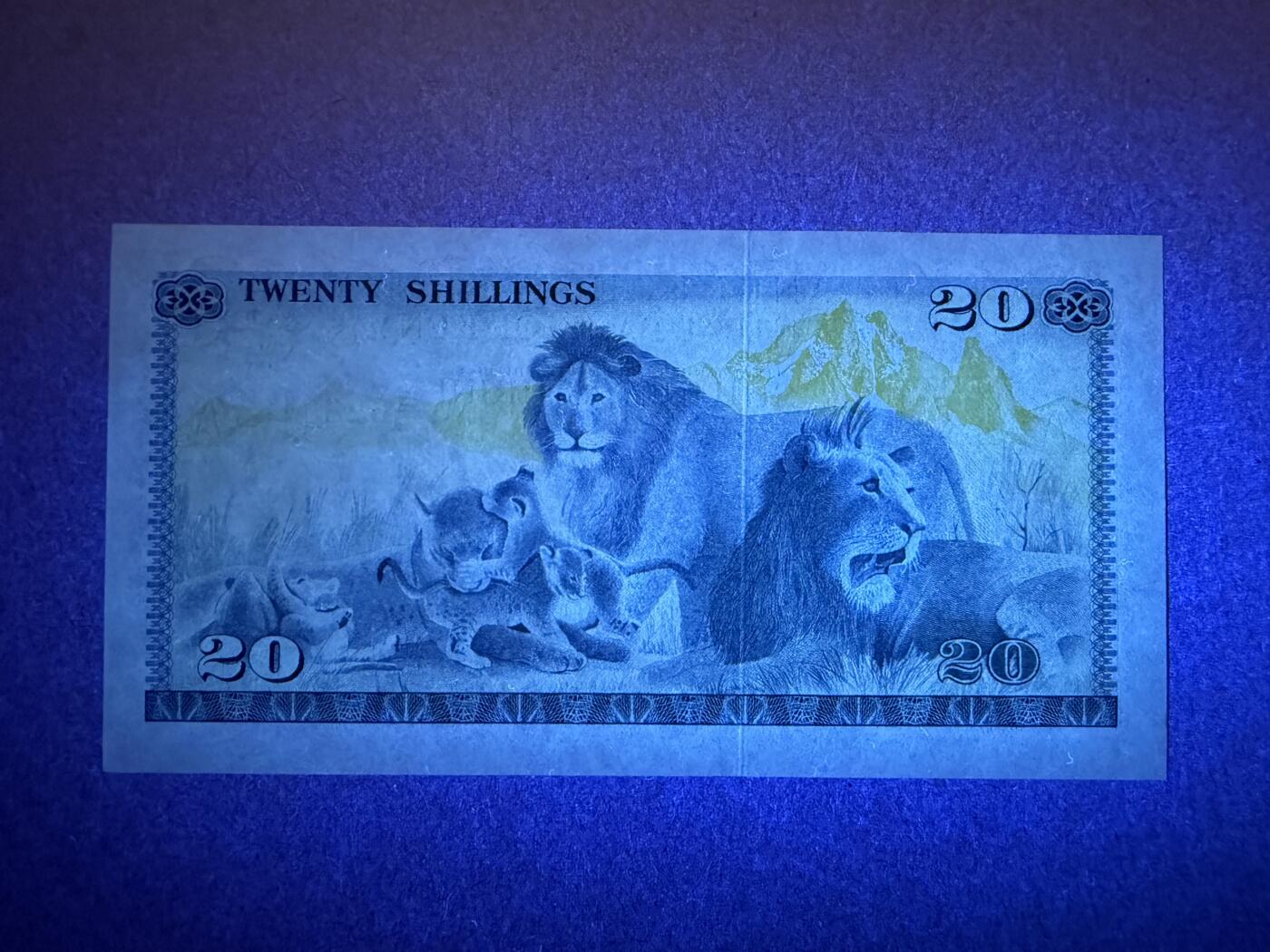 《艾美收藏》第232期-2.22周日外币靓号精品场(春节首拍)