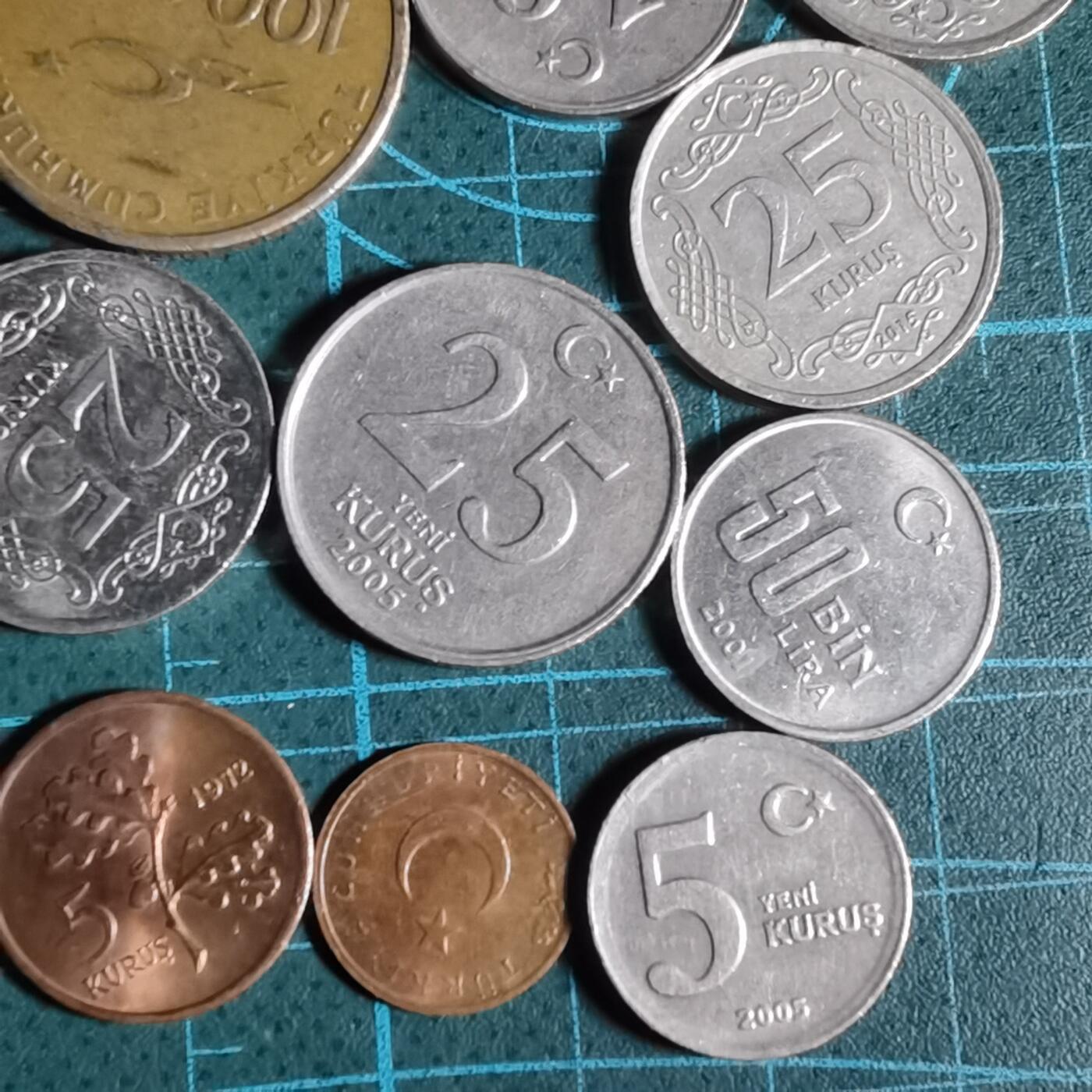 沼泽如烟--第1001场