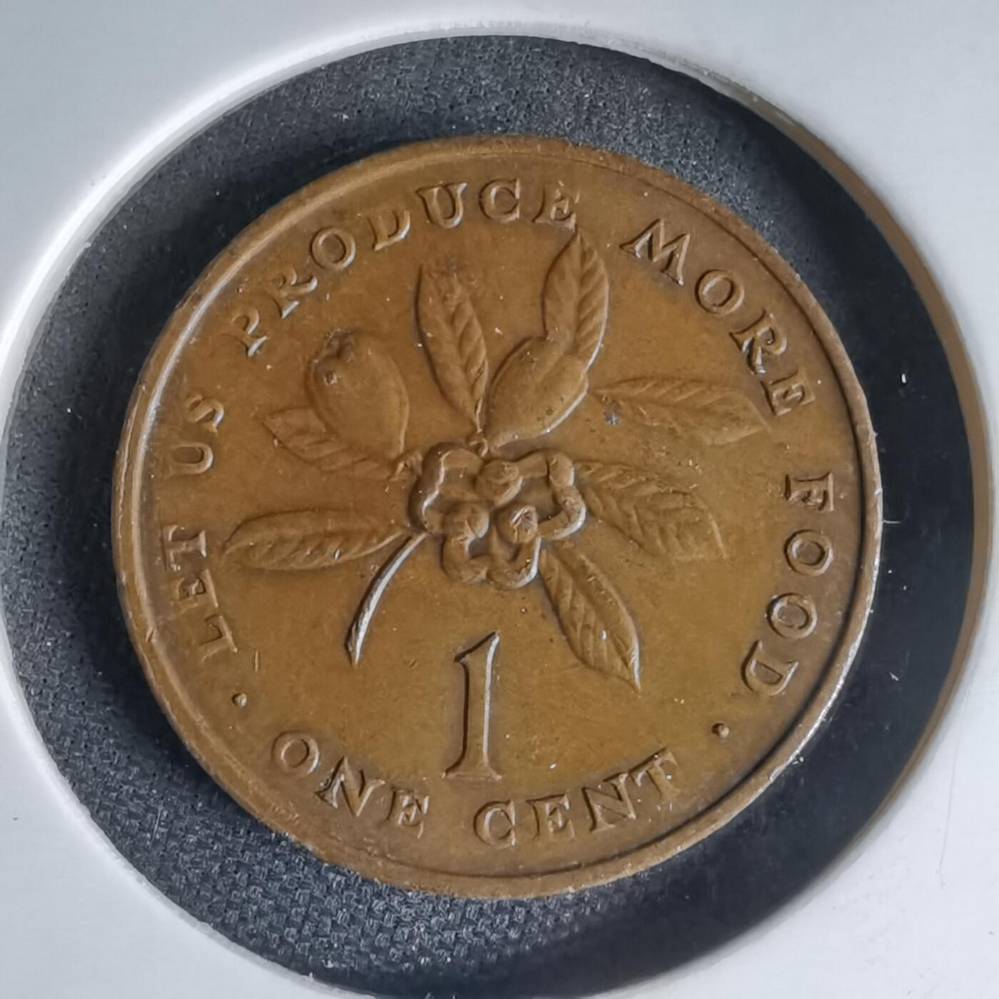 沼泽如烟--第1000场 牙买加1973年一分FAO纪念币