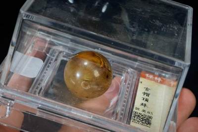 上海都达杂项专场102【全场包邮】  官帽顶珠88-19