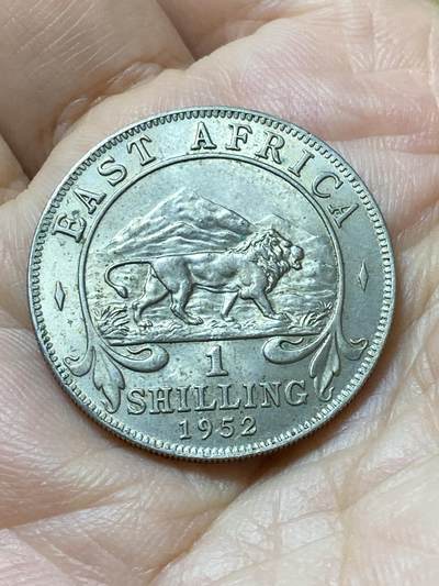 2026年第三十一场(总第二百场)英国一线回流散币新春特拍第三场(免佣金) - 原光好品–英属东非1952年1先令(乔治六世逝世年，第五版关门年)