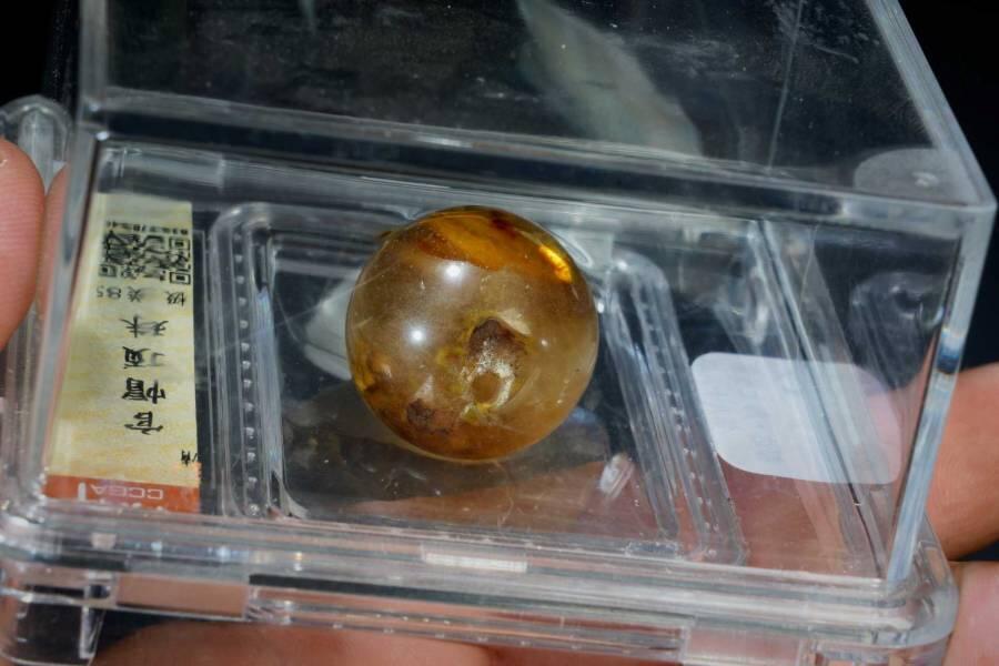 上海都达杂项专场三十三【年后发货全场包邮】 