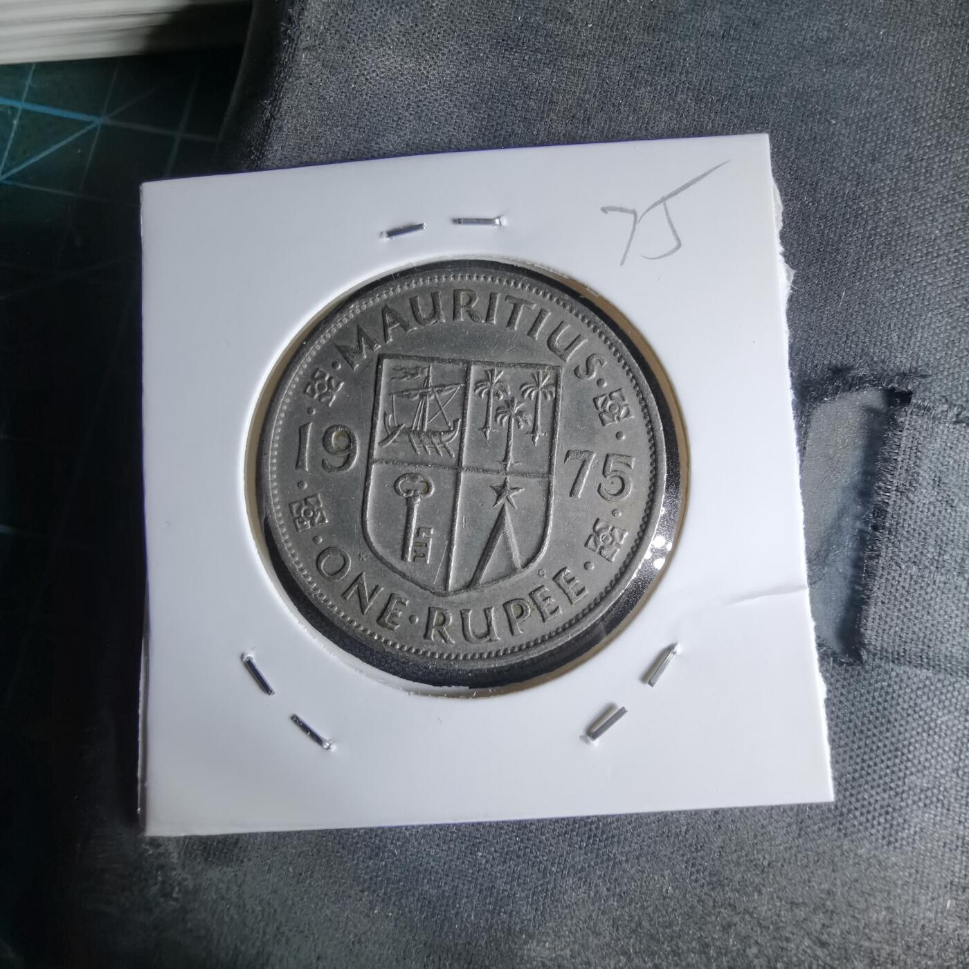 沼泽如烟--第1000场