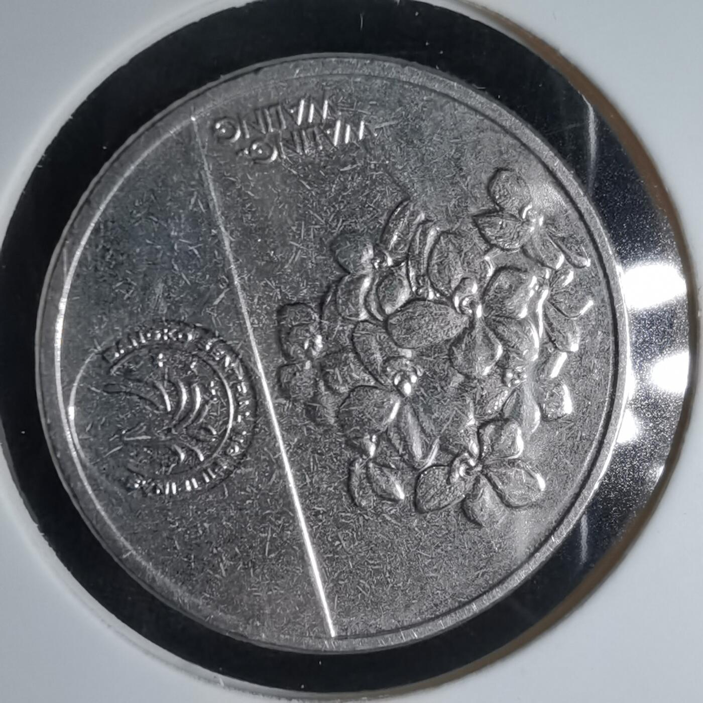 沼泽如烟--第1000场