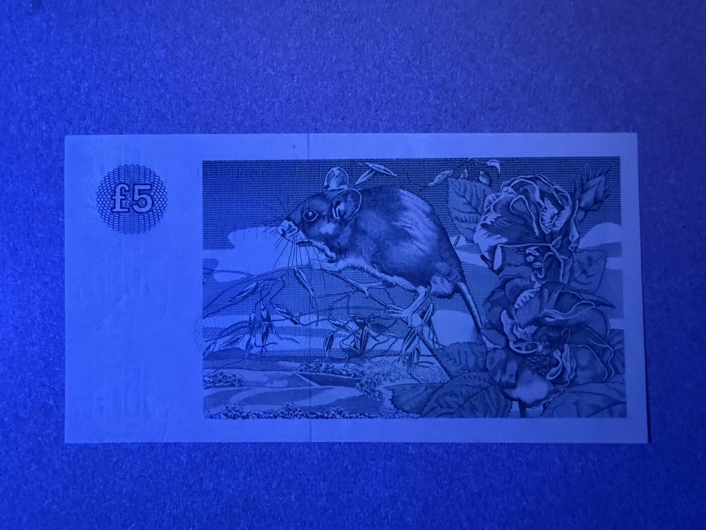 《艾美收藏》第232期-2.22周日外币靓号精品场(春节首拍) 苏格兰5镑 UNC 克莱斯戴尔银行 1989年大尺寸版本 顶部有处轻微荧光 无4