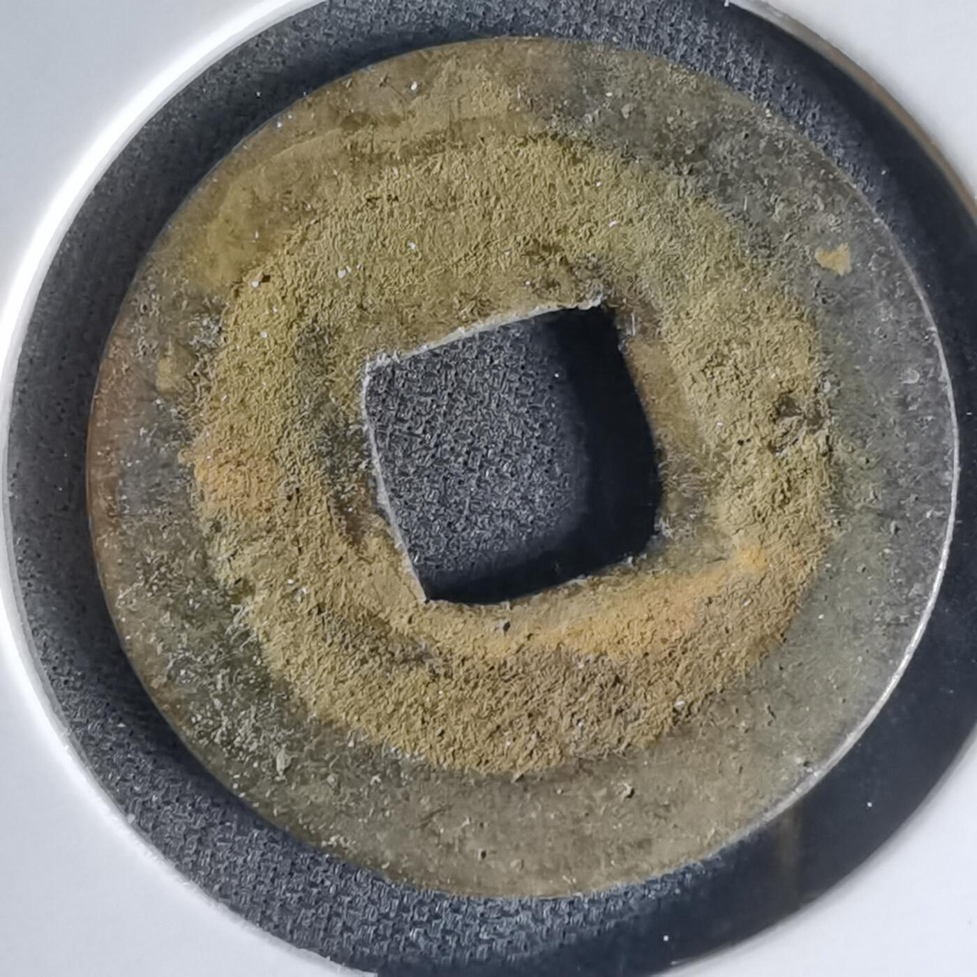 沼泽如烟--第1000场