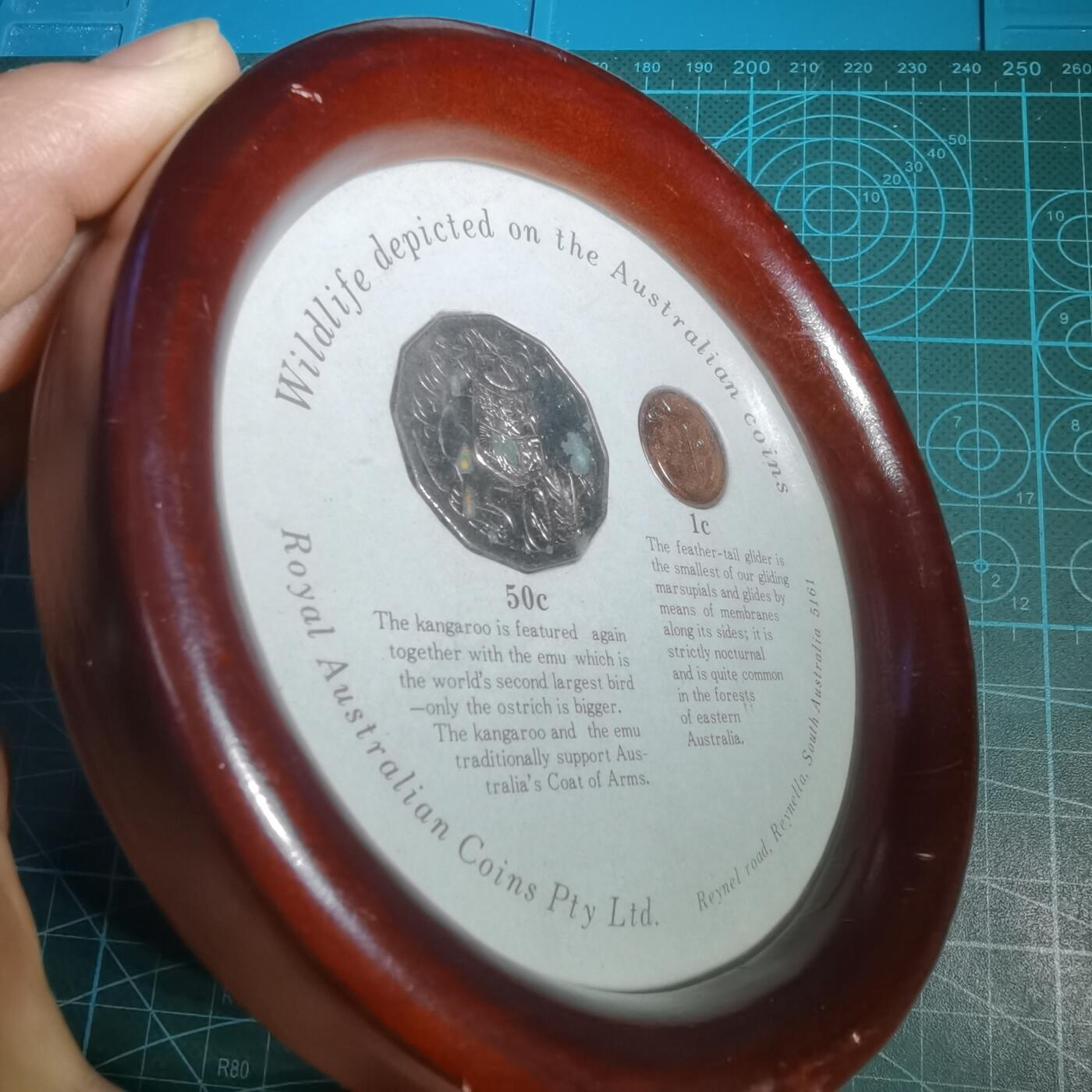 沼泽如烟--第1001场 纪念品