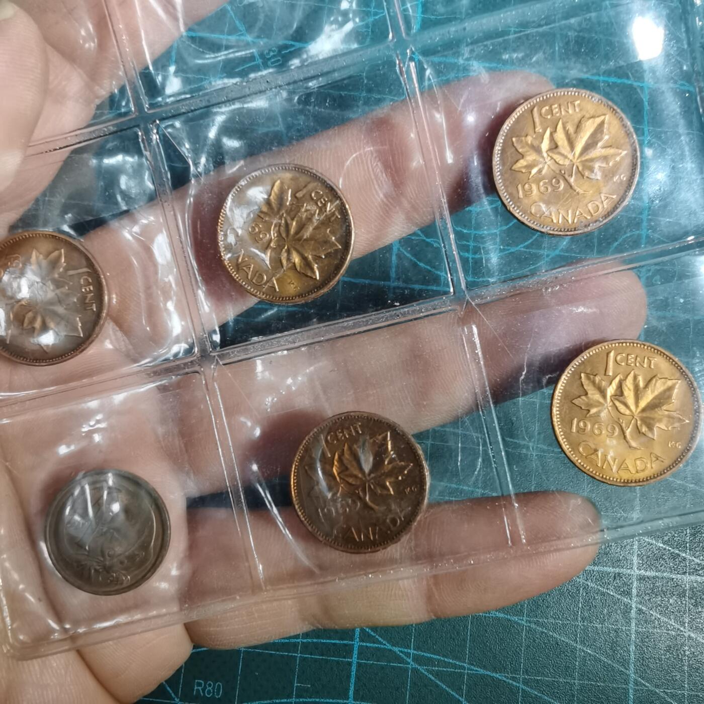 沼泽如烟--第1001场 六枚