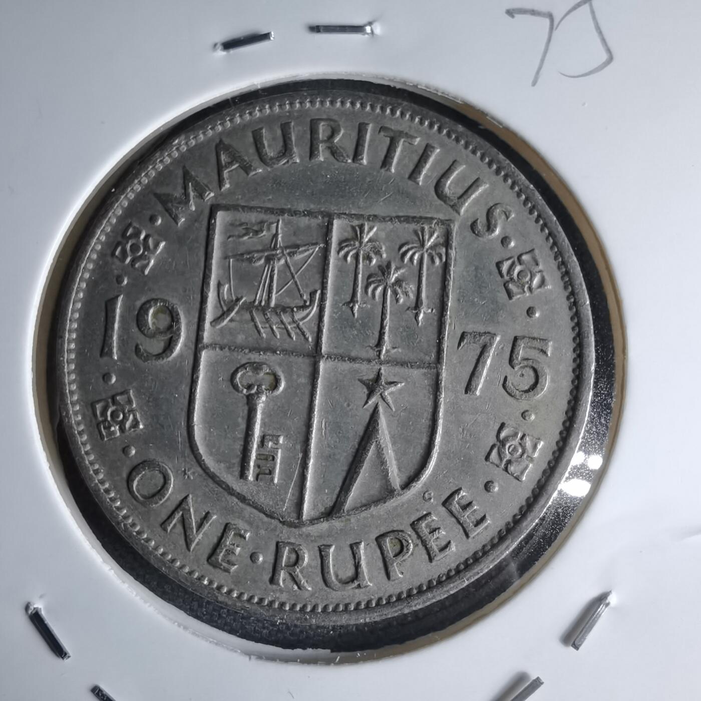 沼泽如烟--第1000场