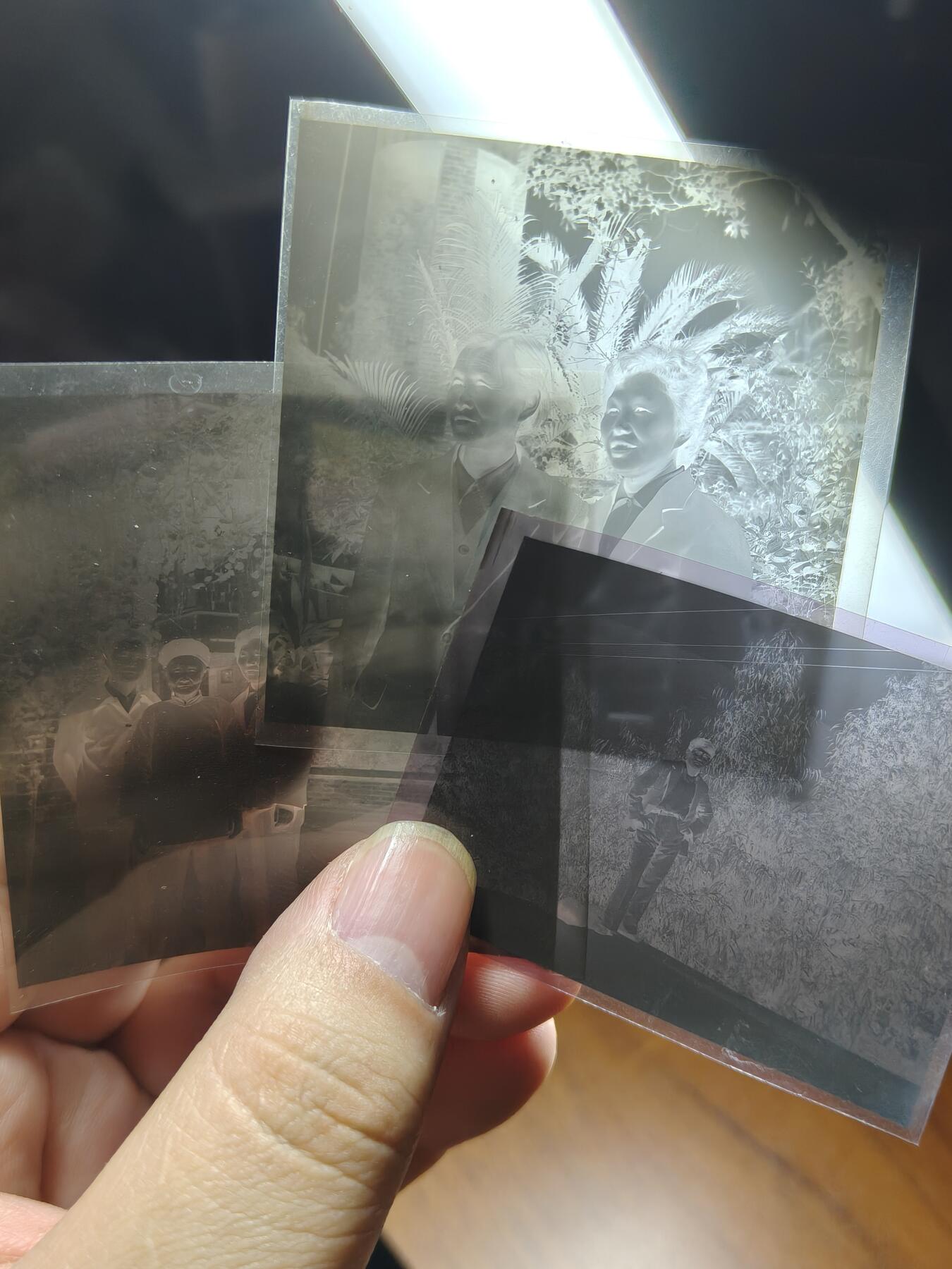 马到成功 迎新年  精品专场 工会证书 带几张得主胶片 已作废仅供收藏