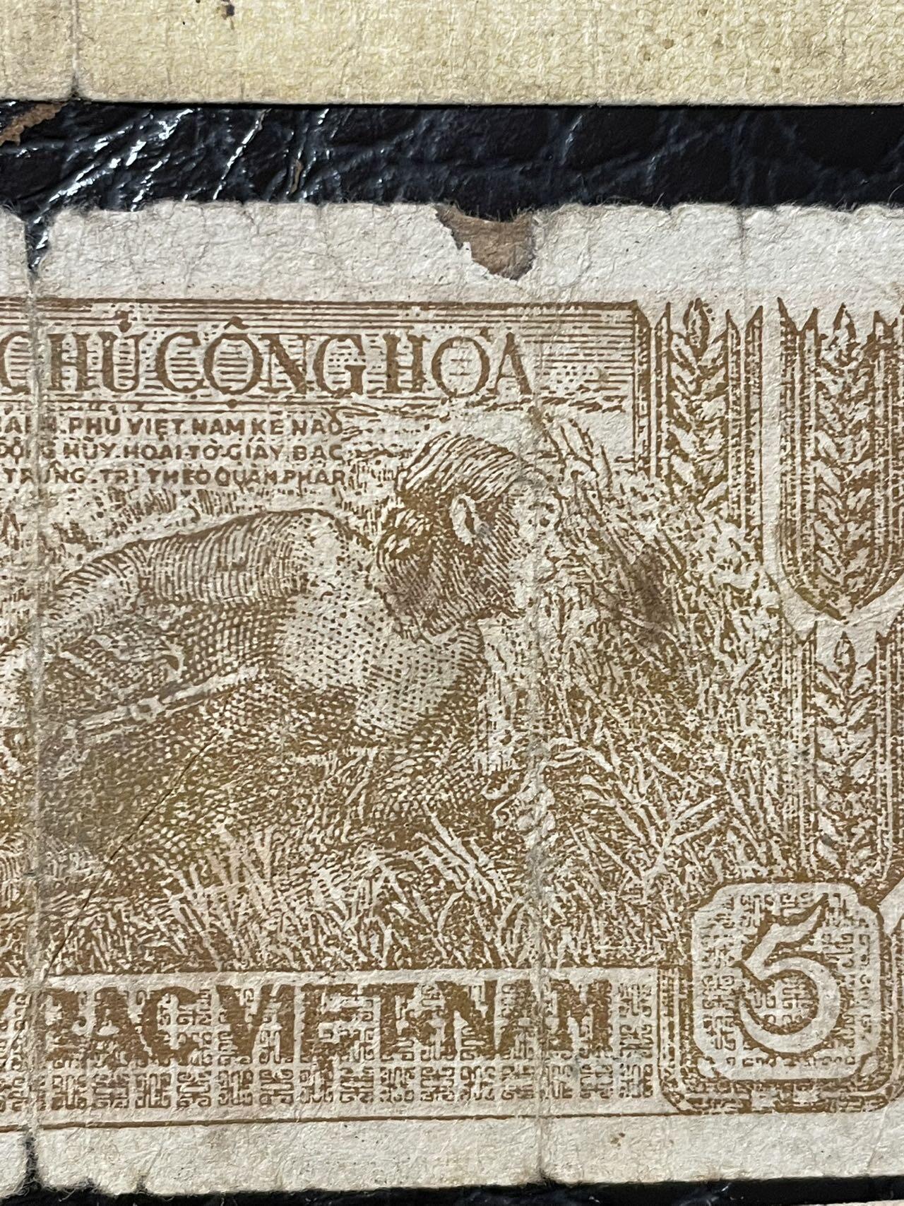 越南六张 普通品相 如图