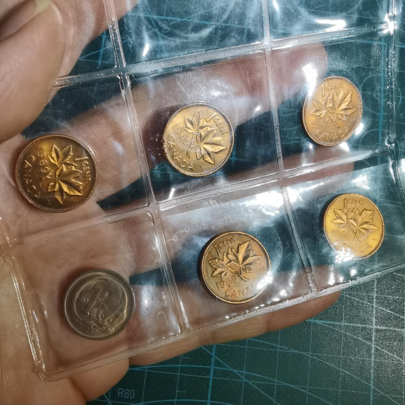 沼泽如烟--第1001场 六枚