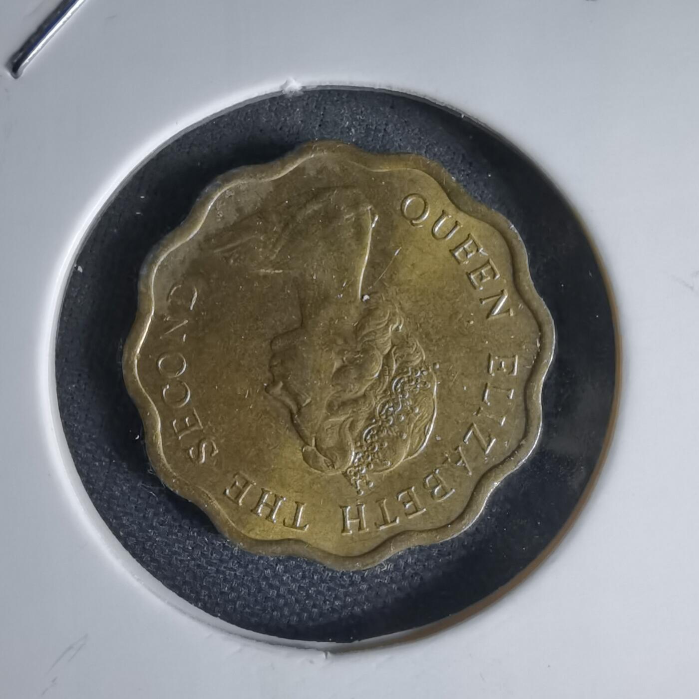 沼泽如烟--第1000场