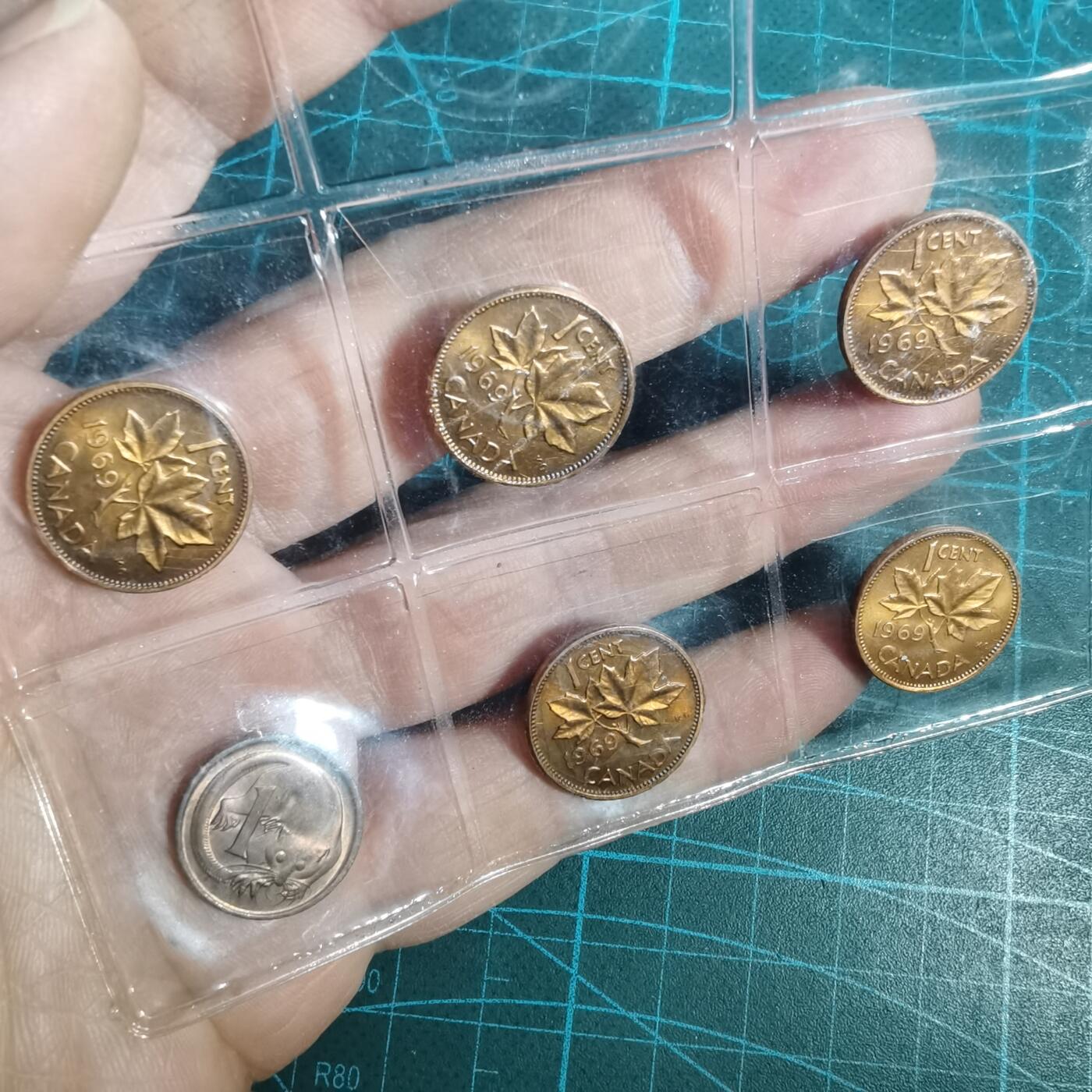 沼泽如烟--第1001场 六枚