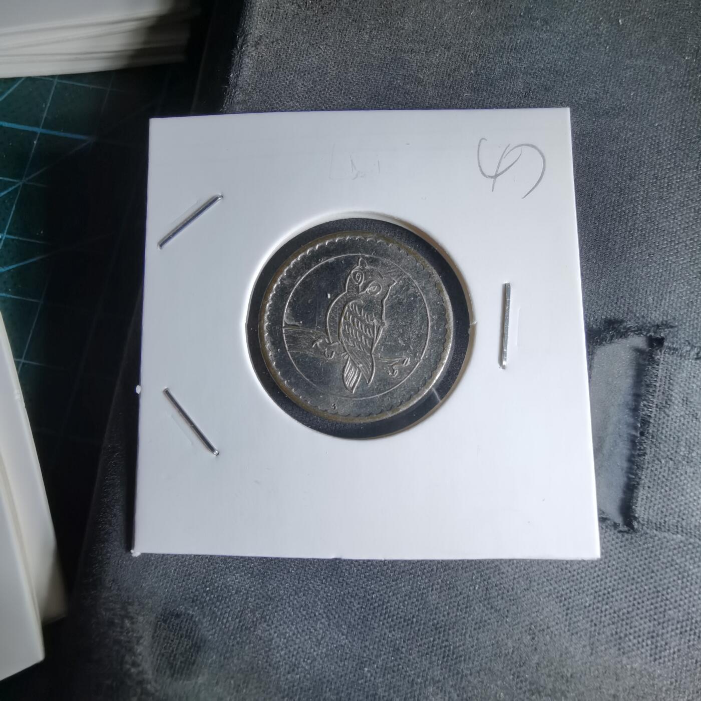 沼泽如烟--第1000场 猫头鹰 丹顶鹤