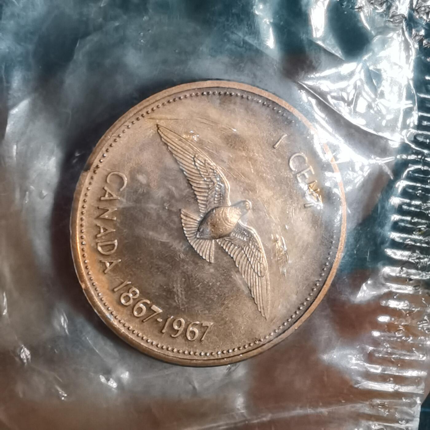 沼泽如烟--第1001场