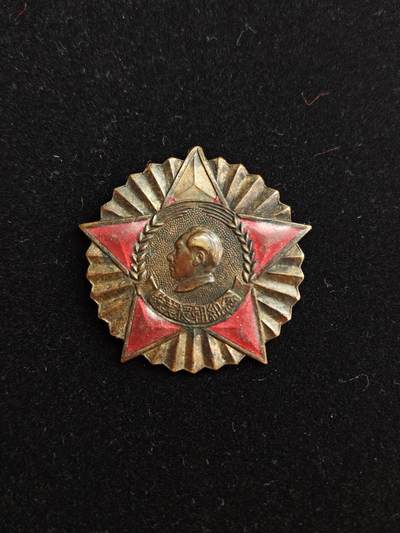 马到成功 迎新年  精品专场 - 抗美纪念章