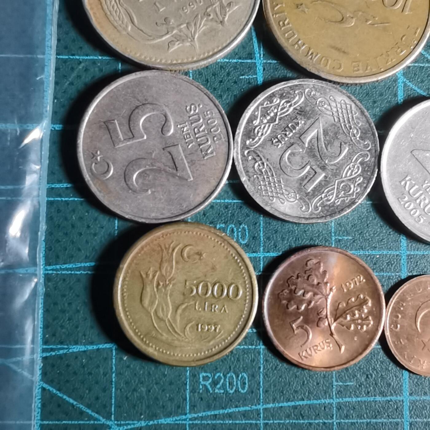 沼泽如烟--第1001场