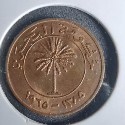 沼泽如烟--第1001场 - 巴林1965年10费尔