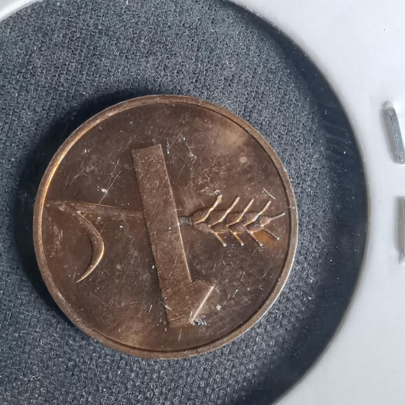 沼泽如烟--第1001场 瑞士1982年一分