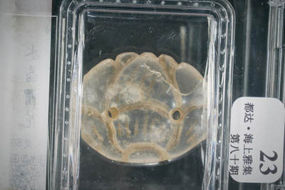 上海都达杂项专场102【全场包邮】  水晶帽花80-23