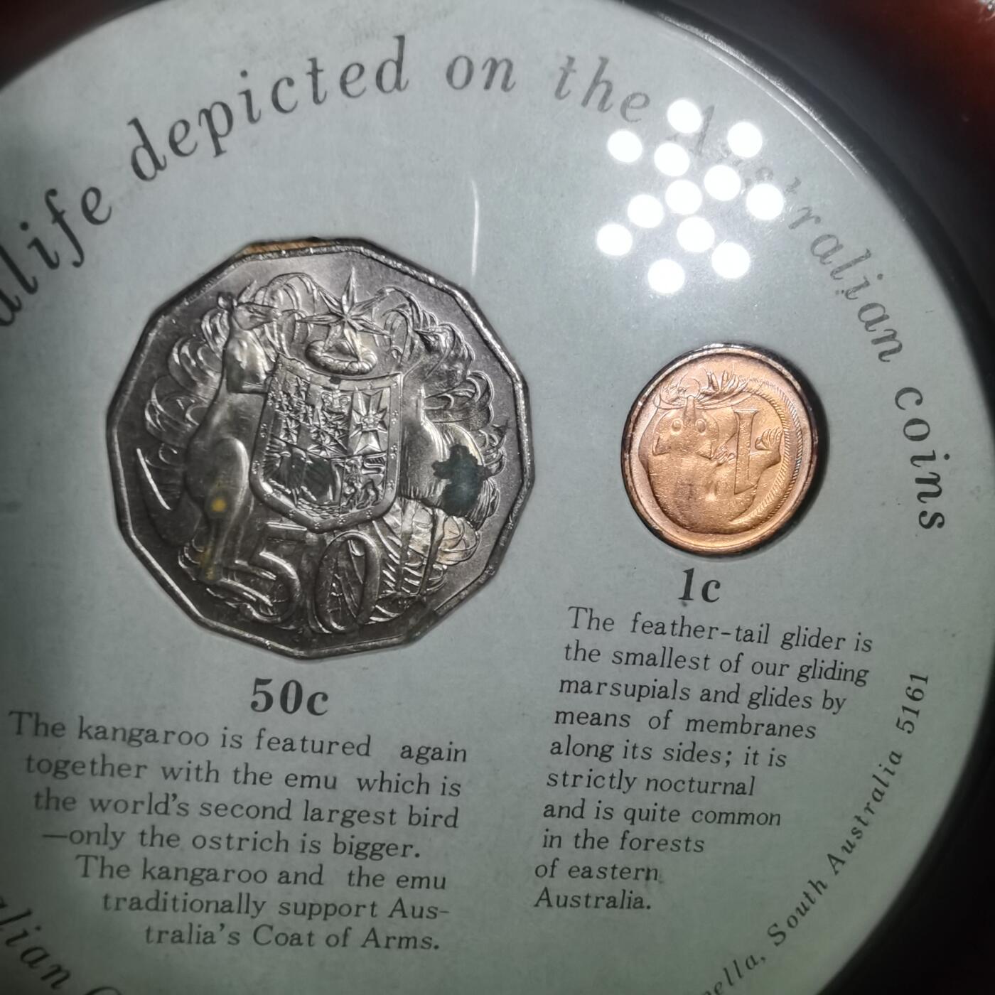 沼泽如烟--第1001场 纪念品