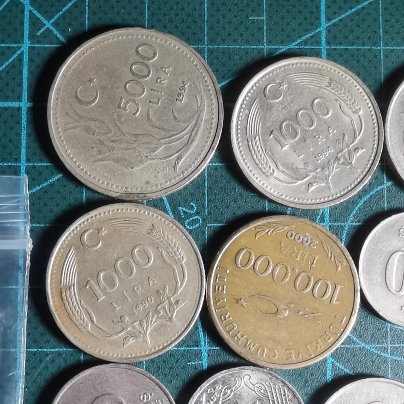 沼泽如烟--第1001场