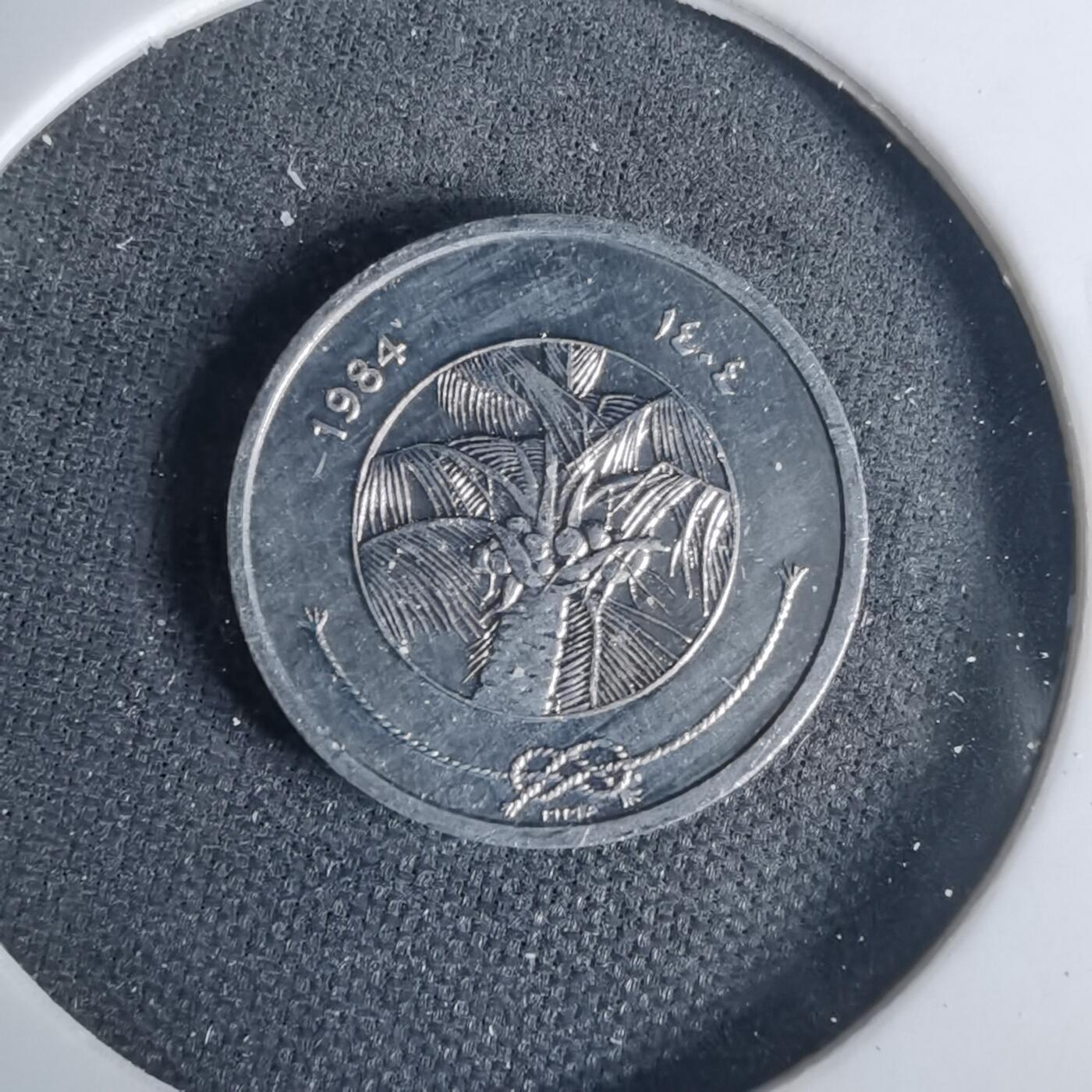 沼泽如烟--第1001场 马尔代夫1984年1拉雷